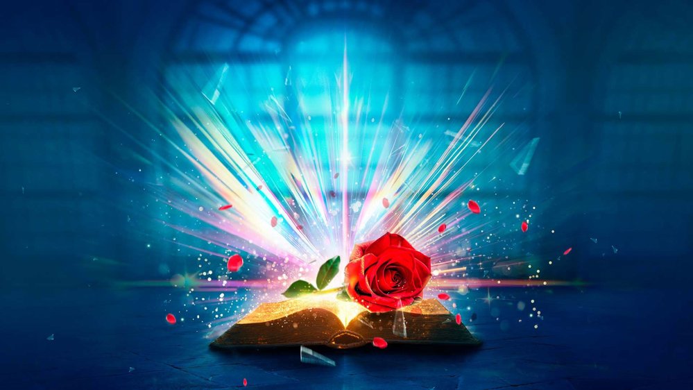 Promotional artwork for the pantomime Beauty and the Beast. The image depicts a magical and enchanting scene featuring an open book resting on the surface of a castle floor. A vibrant red rose sits atop the book. Bright, multicoloured rays of light burst upward and outward from the book. Floating rose petals and shimmering particles surround the scene. In the background the arched window of a castle is faintly visible. 