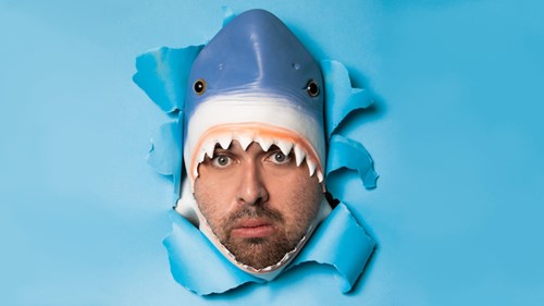 A man’s head poking through torn blue paper, wearing a comical shark costume hat, with a surprised expression on his face.